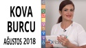 Kova Burcu Ağustos 2018 Yorumları