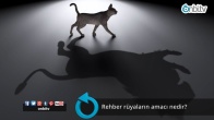 Rehber rüyaların amacı nedir?