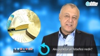Akupunkturun felsefesi nedir?
