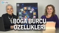 Boğa Burcu Özellikleri