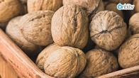 Alzheimer hastalığına karşı koruyucu besinler nelerdir?