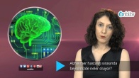 Alzheimer hastalığı sırasında beynimizde neler oluyor?