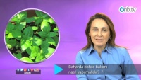Baharda bahçe bakımı nasıl yapılır?