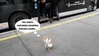 Boş Metrobüs Beklerken