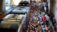Metrobüs Geyikleri