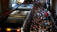 Metrobüs Geyikleri 5