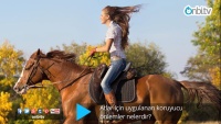 Atlarda koruyucu önlemler nelerdir?