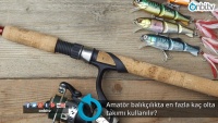 Amatör balıkçılıkta en fazla kaç olta takımı kullanılır?