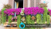 Feng Shui sistemi nasıl işler?