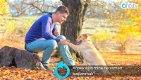 Köpek eğitimine ne zaman başlanmalı?