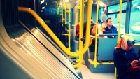 Metrobüs Geyikleri 2
