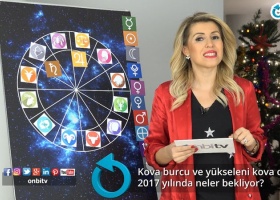 Kova burcu ve yükseleni kova olanları 2017'de neler bekliyor?