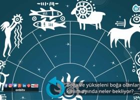 Boğa ve yükseleni boğa olanları kasım ayında neler bekliyor?