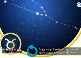 Boğa ve yükseleni boğa olanları ekim ayında neler bekliyor?
