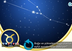 Boğa ve yükseleni boğa olanları eylül ayında neler bekliyor?