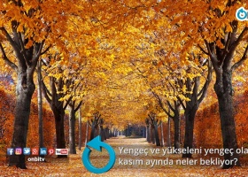 Yengeç ve yükseleni yengeç olanları kasım ayında neler bekliyor?