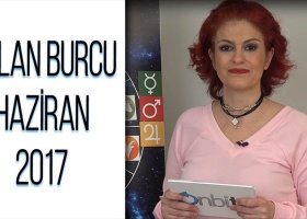 Aslan Burcu Haziran 2017 Yorumları