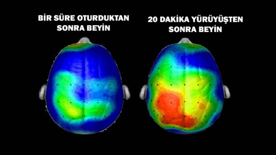 20 Dakika Yürüyünce Ne oluyor?