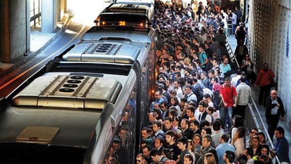 Metrobüs Geyikleri