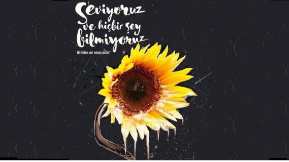 Seviyoruz ve Hiçbir Şey Bilmiyoruz