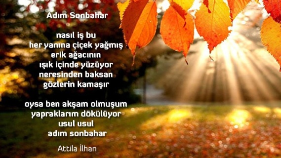 Adım Sonbahar