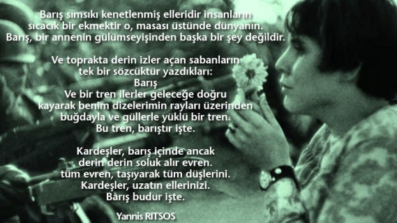 Barış Budur İşte!