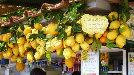Capri Limonları