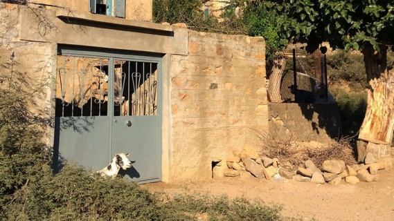 Gökçeada