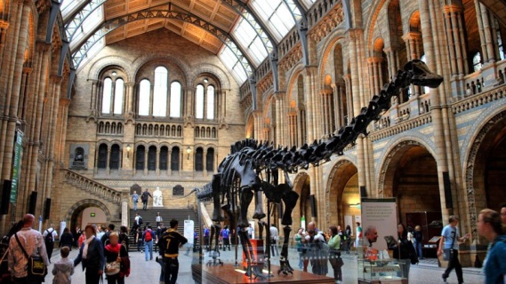 Natural History Museum