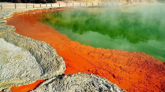 Waiotapu Şampanya Havuzu - Waiotapu Champagne Pool