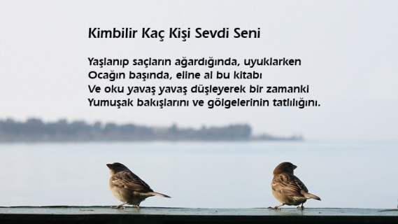 Kimbilir Kaç Kişi Sevdi Seni