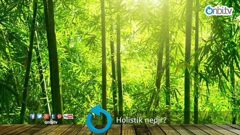 Holistik nedir?