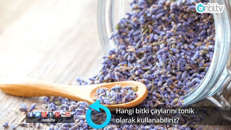 Hangi bitki çaylarını tonik olarak kullanabiliriz?