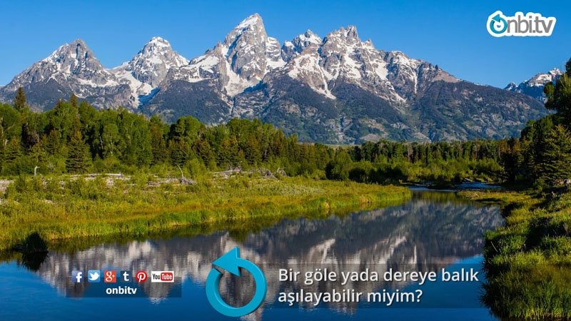 Bir göle ya da dereye balık aşılayabilir miyim?
