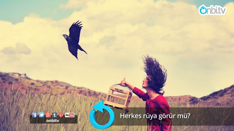 Herkes rüya görür mü?