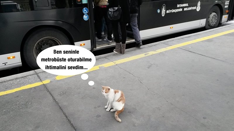 Boş Metrobüs Beklerken