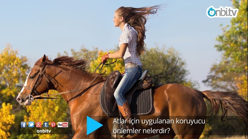 Atlarda koruyucu önlemler nelerdir?