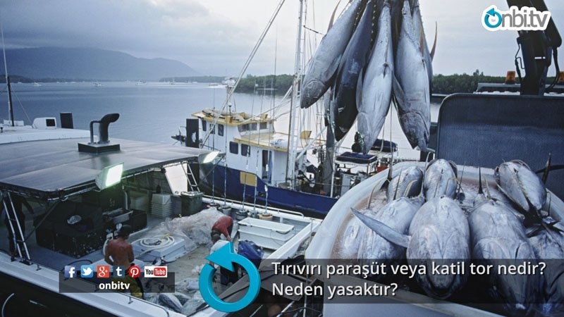 Tırıvırı paraşüt veya katil tor nedir? Neden yasaktır?