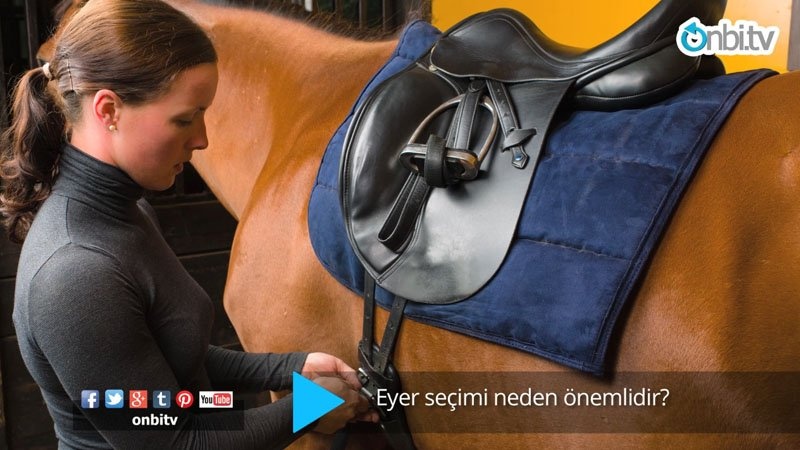 Atıma uygun eyeri nasıl seçerim?