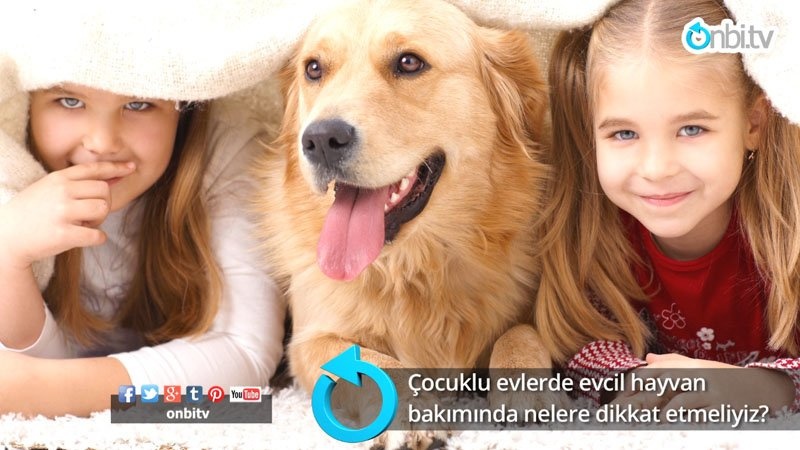 Çocuklu evlerde evcil hayvan bakımında nelere dikkat etmeliyiz?