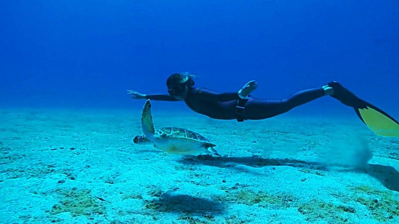 Türkiye’de Caretta Caretta Olmak