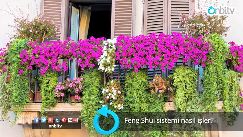 Feng Shui sistemi nasıl işler?