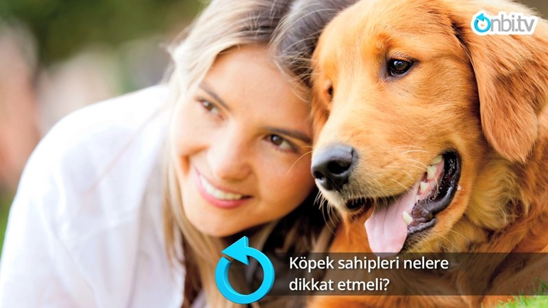 Köpek sahipleri nelere dikkat etmeli?
