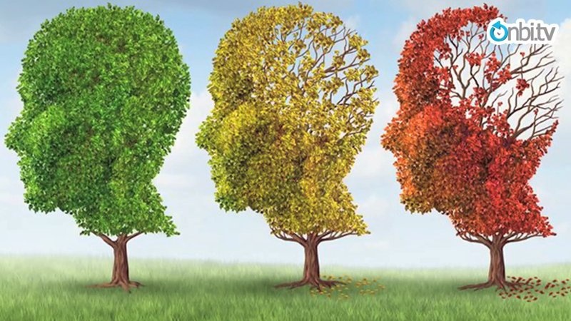 Alzheimer nasıl fark edilir?