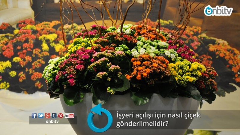 İşyeri açılışı için nasıl çiçek gönderilmelidir?