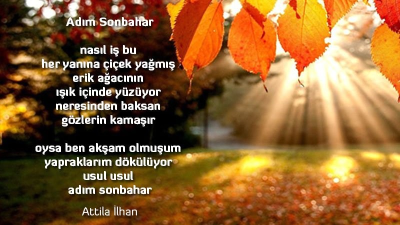Adım Sonbahar