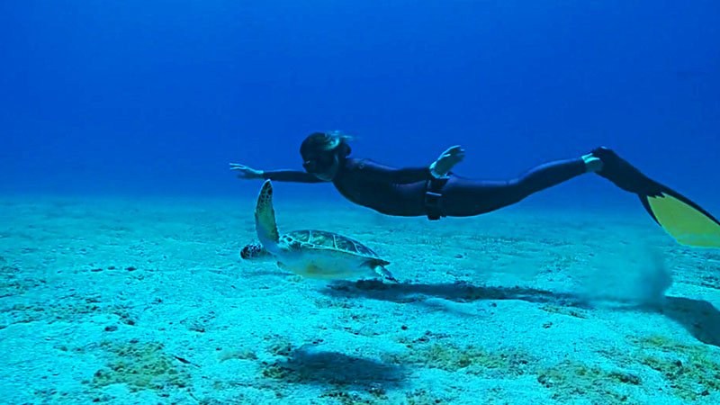 Türkiye’de Caretta Caretta Olmak