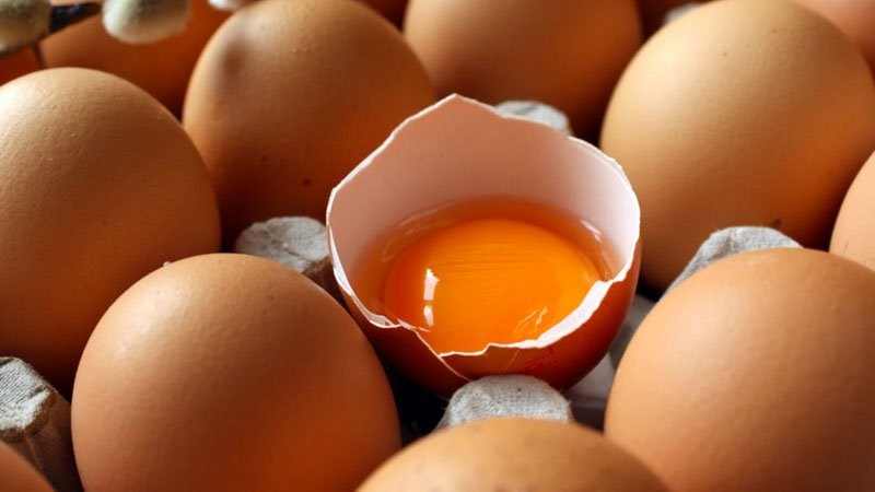 Rüyada Yumurta Görmek